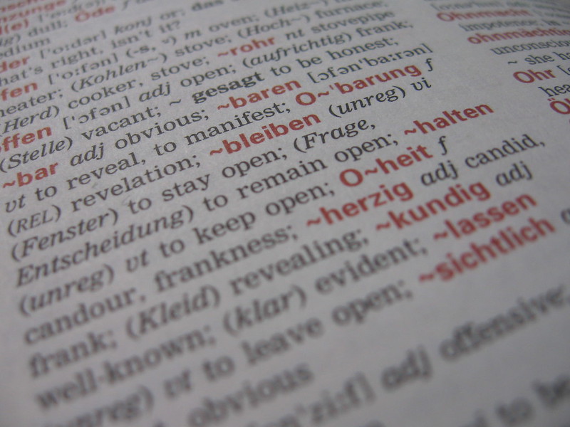 Dictionary – auteur: jwyg (CC BY-SA) – source: https://www.flickr.com/photos/jwyg/3745559121/